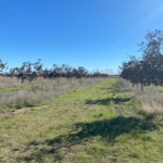 30 has. Bordenave, pdo. de Puan